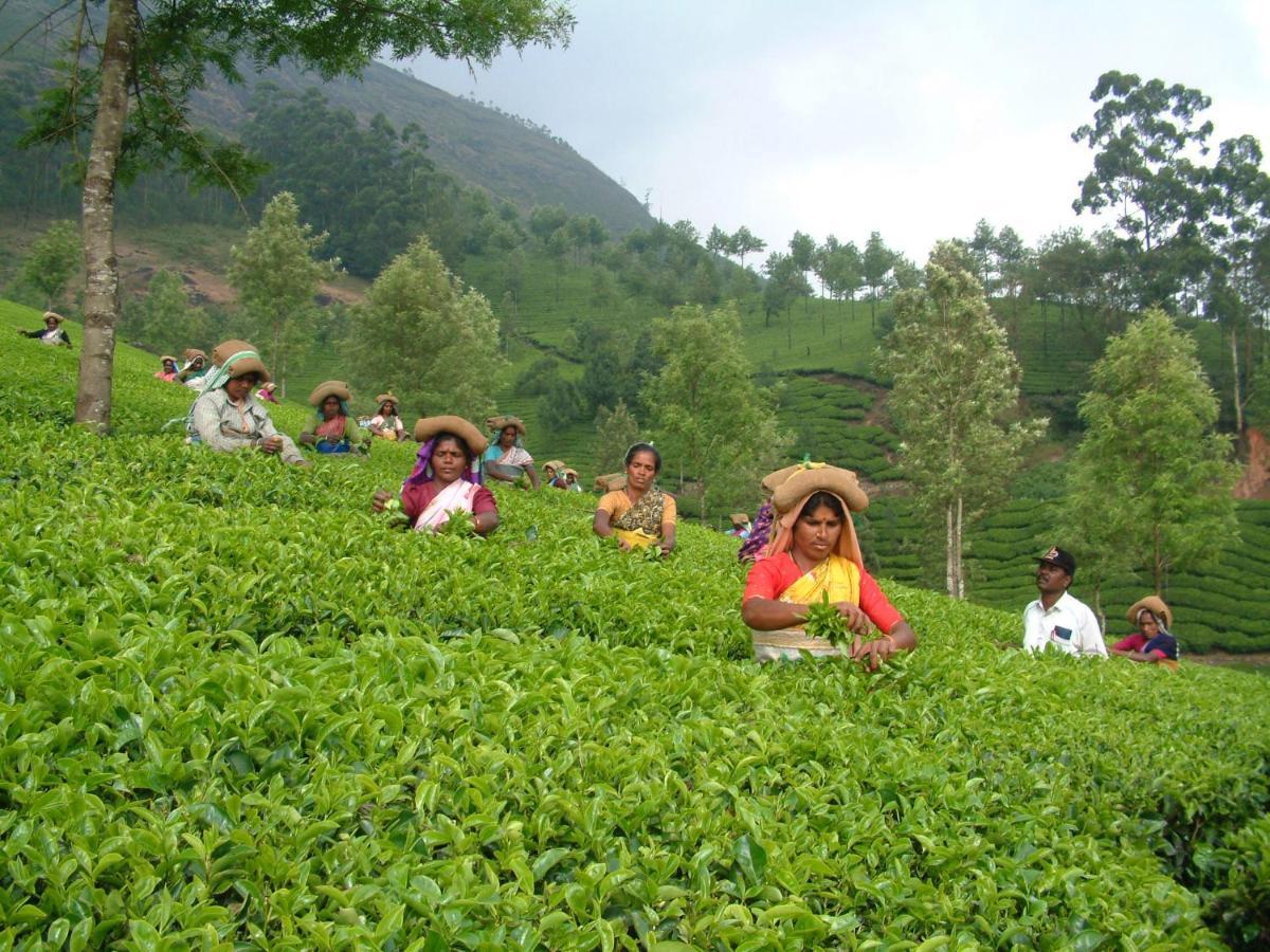 Mistica Munnar Apartment Anachal Luaran gambar