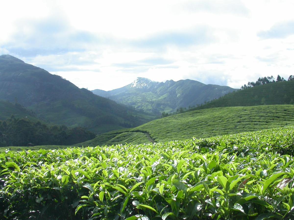 Mistica Munnar Apartment Anachal Luaran gambar