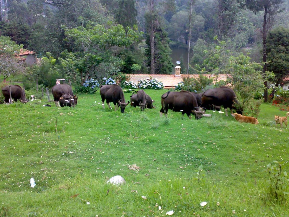 Mistica Munnar Apartment Anachal Luaran gambar