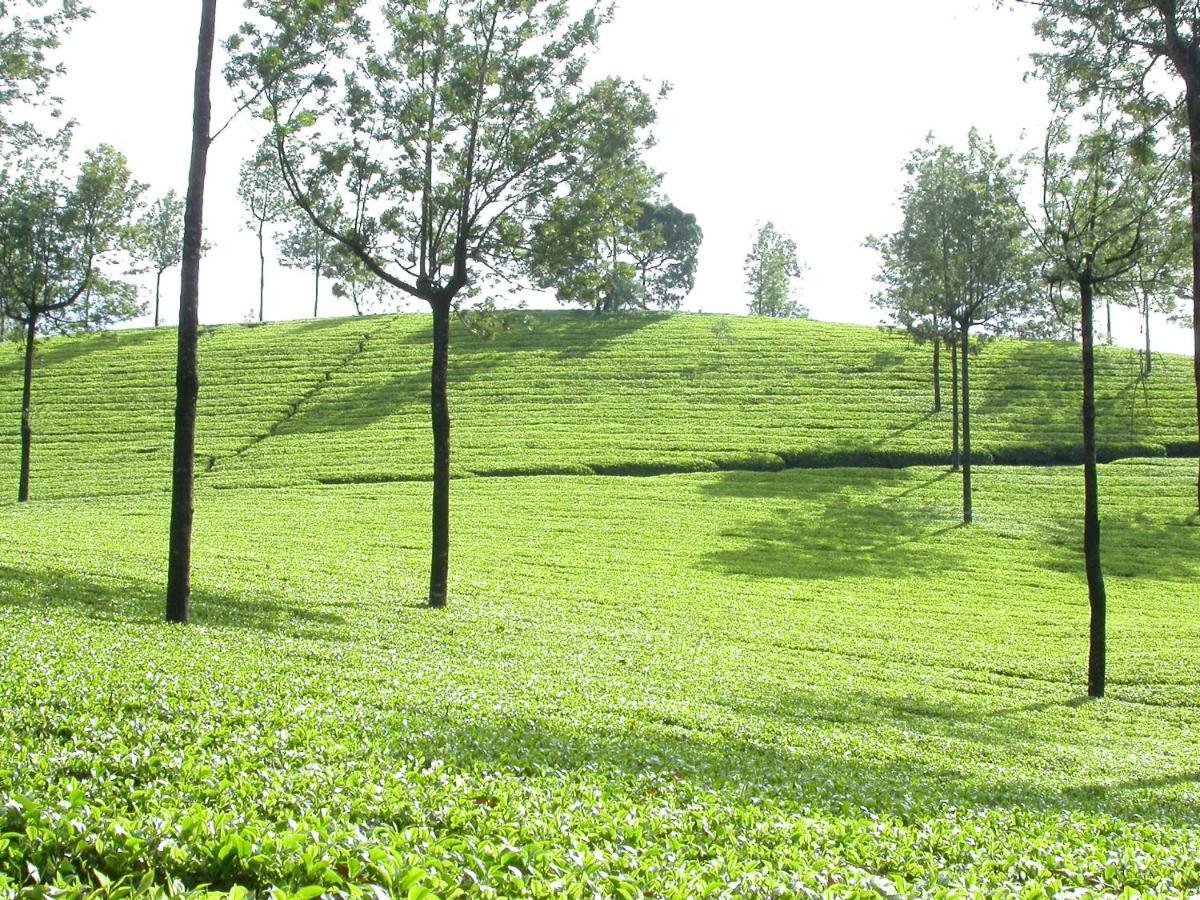 Mistica Munnar Apartment Anachal Luaran gambar