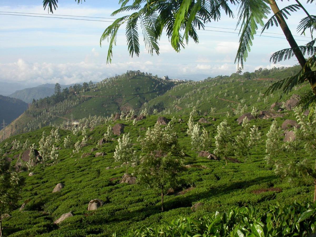 Mistica Munnar Apartment Anachal Luaran gambar
