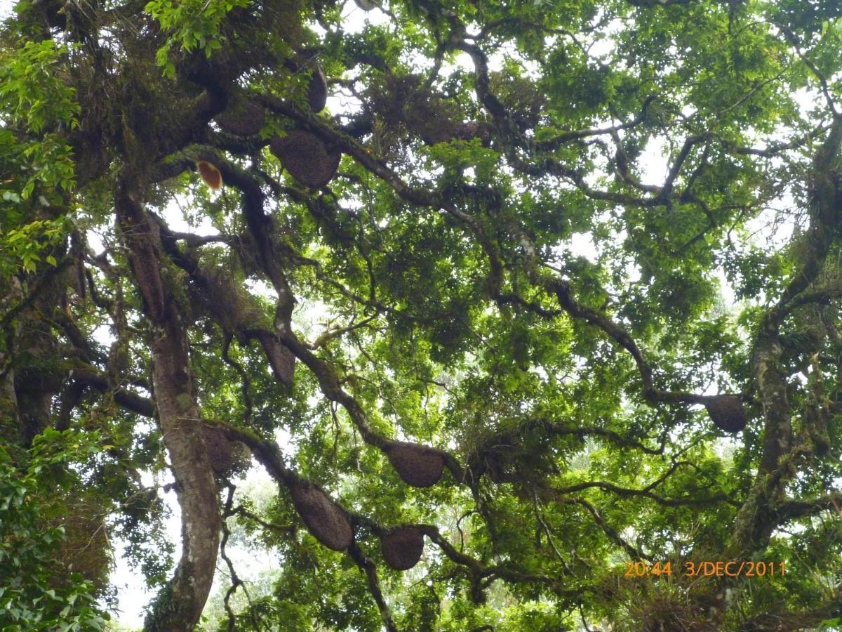 Mistica Munnar Apartment Anachal Luaran gambar