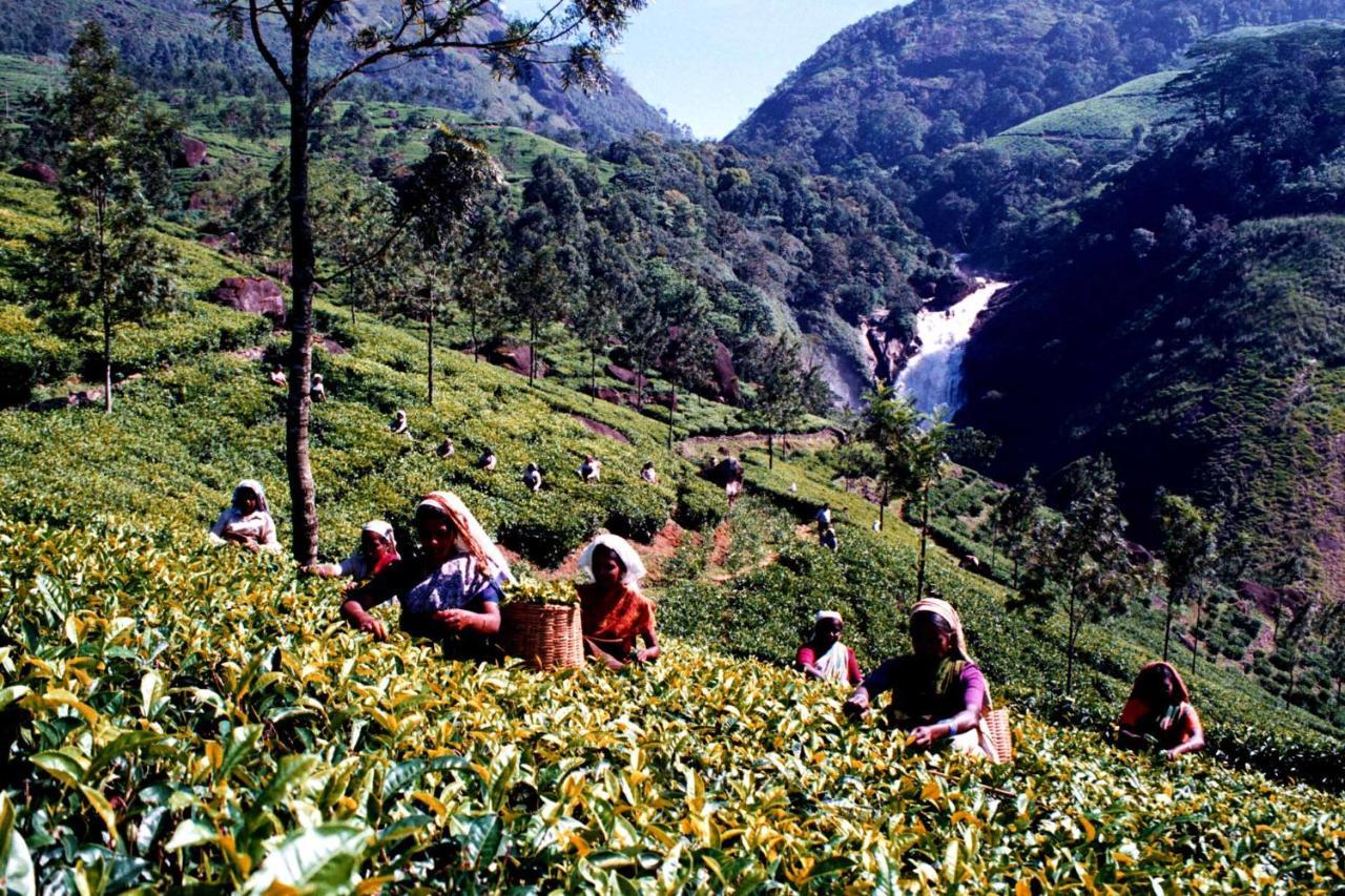 Mistica Munnar Apartment Anachal Luaran gambar